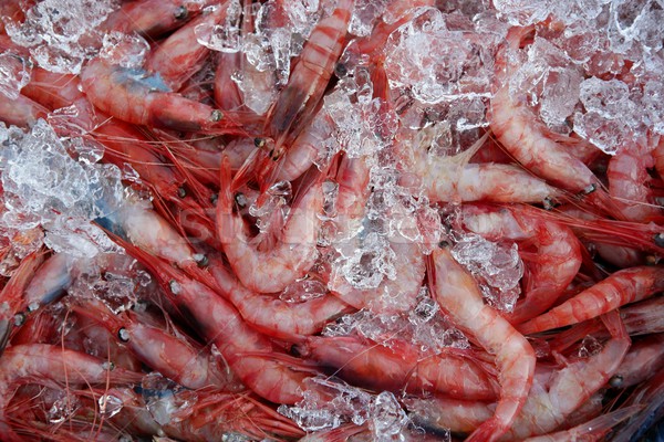 Portocaliu creveţi creveta gheaţă suprafata peşte Imagine de stoc © lunamarina