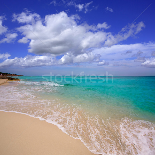 Formentera es Mitjorn beach turquoise Stock photo © lunamarina