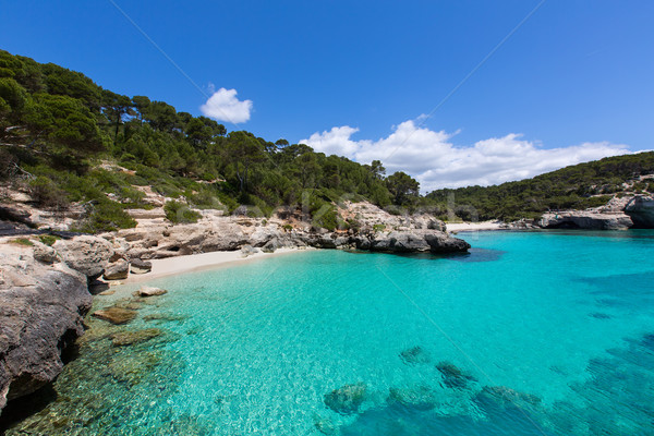 Cala Mitjana y Mitjaneta in Menorca Ciutadella at Balearic Stock photo © lunamarina