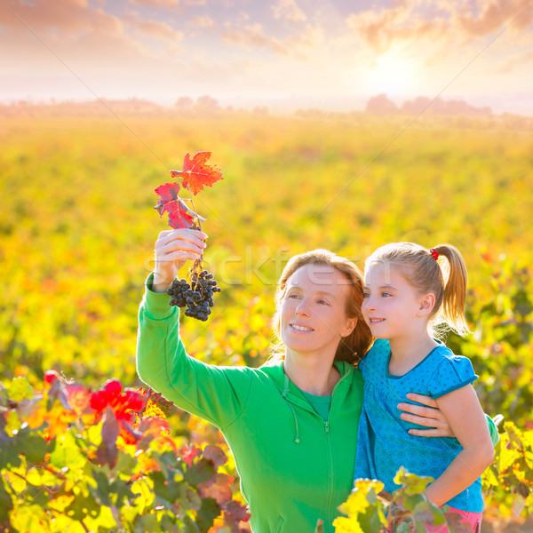 Foto stock: Mãe · filha · outono · vinha · sorridente