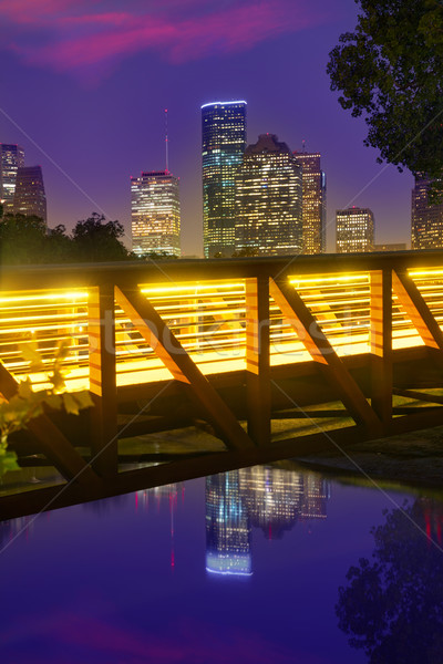 Foto stock: Houston · puesta · de · sol · horizonte · Texas · parque · cielo