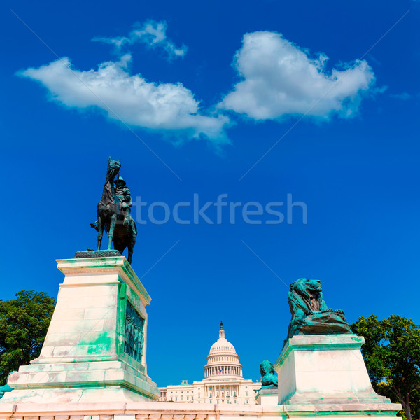 Gebouw Washington DC zonlicht congres USA hemel Stockfoto © lunamarina