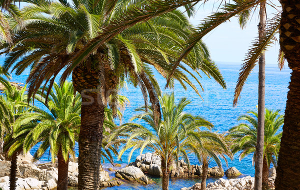 Plage Espagne paysage fond océan bleu [[stock_photo]] © lunamarina