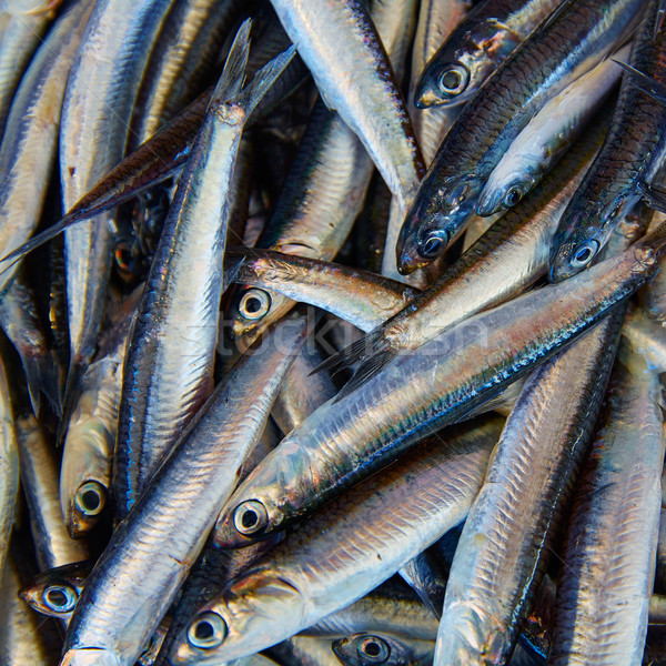 Anchovies fresh fish in the fish market Stock photo © lunamarina