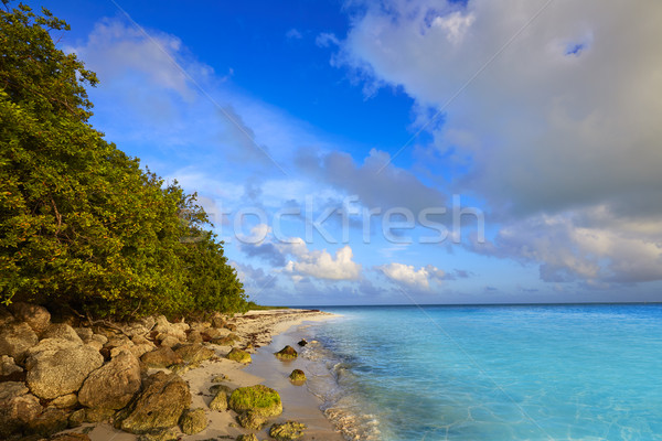 Florida Keys beach Bahia Honda Park US Stock photo © lunamarina