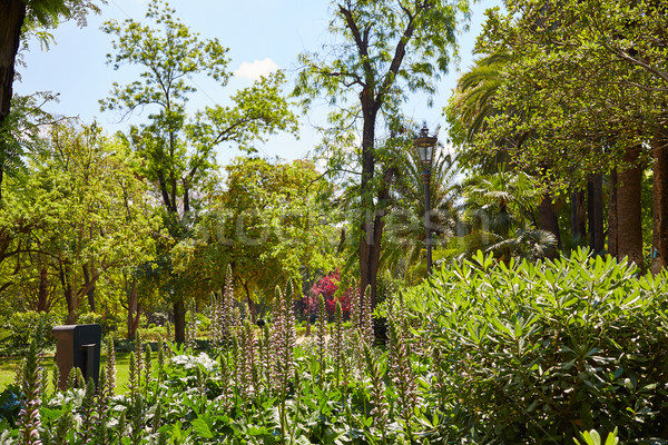 seville maria luisa park gardens spain Stock photo © lunamarina