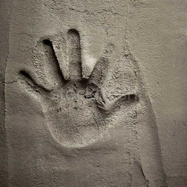 hand print on cement mortar wall Stock photo © lunamarina