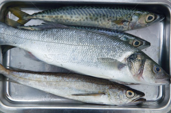 Stock photo:  fish  on stainless steel tray
