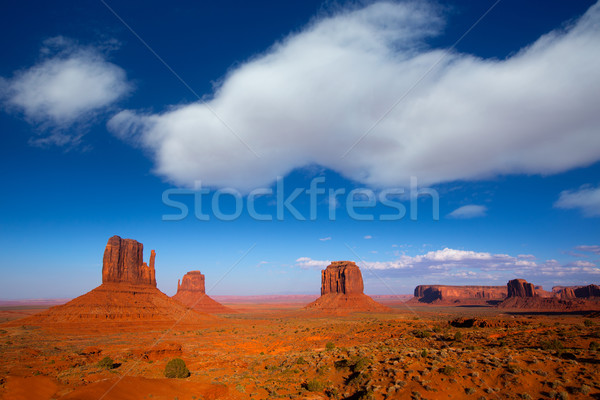 Monument Valley West and East Mittens and Merrick Butte Stock photo © lunamarina