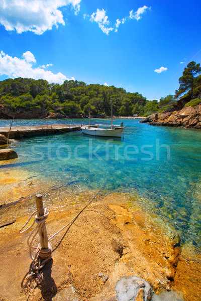 サンタクロース 自然 風景 緑 旅行 岩 ストックフォト © lunamarina