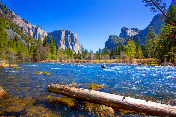 Yosemite Merced River el Capitan and Half Dome Stock photo © lunamarina