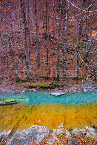 Arazas river Valle de Ordesa valley Pyrenees Huesca Spain Stock photo © lunamarina