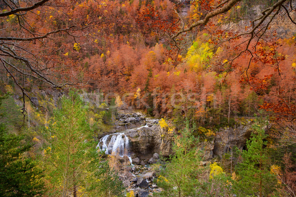 Cascada de Arripas waterfall in Ordesa valley Pyrenees Huesca Stock photo © lunamarina