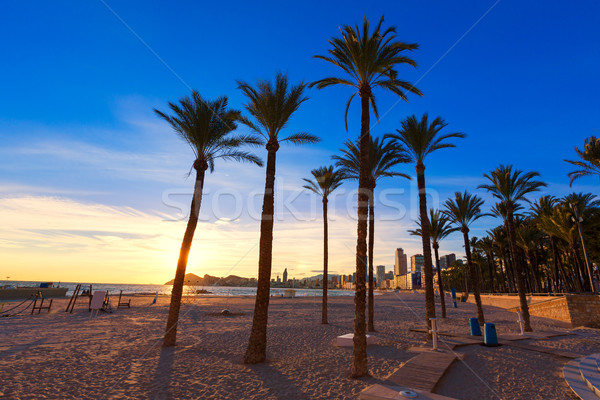 Benidorm Alicante playa de Poniente beach sunset in Spain Stock photo © lunamarina