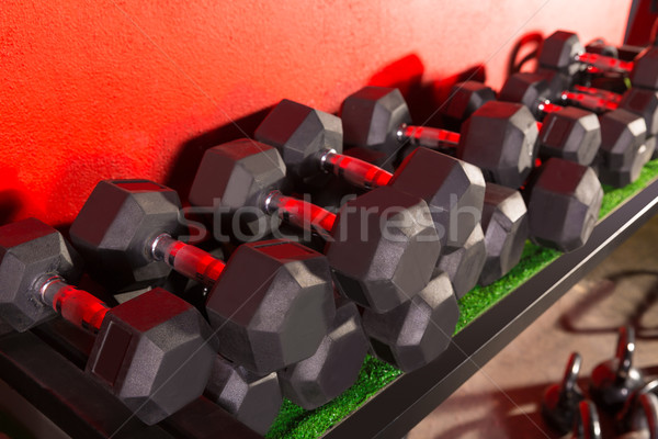 Súlyzók súlyzós edzés tornaterem felszerlés sport kereszt Stock fotó © lunamarina