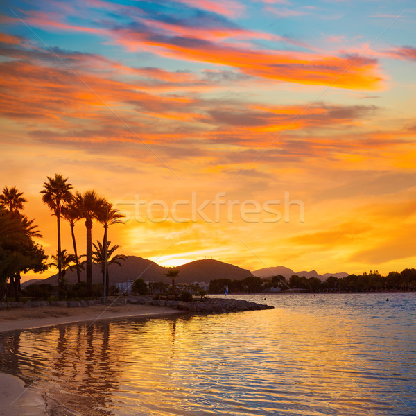 Alcudia Majorca at sunset on the beach Mallorca Stock photo © lunamarina