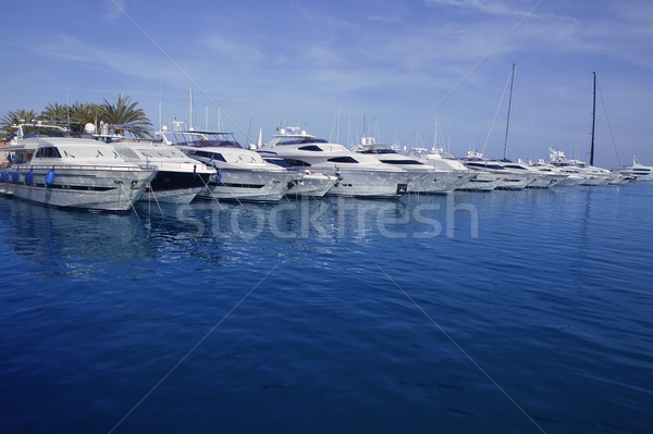 Mallorca Puerto Portals port marina yachts Stock photo © lunamarina