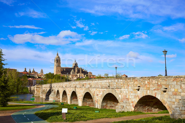 Salamanca skyline and roman bridge on Tormes Stock photo © lunamarina