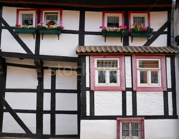 Quedlinburg city facades in Harz Germany Stock photo © lunamarina