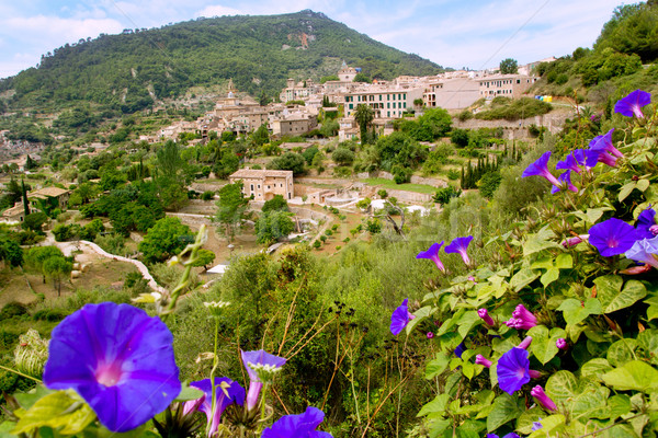 Valldemossa from Majorca view in Tramontana Stock photo © lunamarina