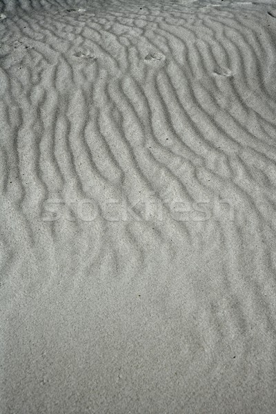 sand waves testure on white sands like desert Stock photo © lunamarina