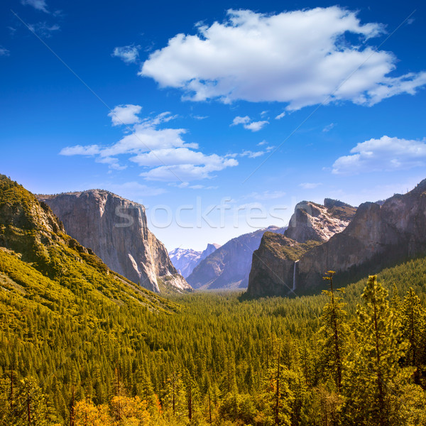 Yosemite metade cúpula Califórnia céu árvore Foto stock © lunamarina