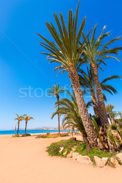 Aguilas Poniente beach Murcia in Spain Stock photo © lunamarina