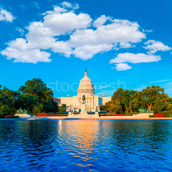 Budynku Washington DC kongres światło słoneczne USA domu Zdjęcia stock © lunamarina