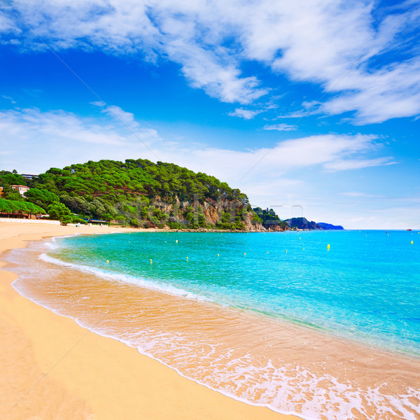 Cala Santa cristina Lloret de Mar Costa Brava Stock photo © lunamarina