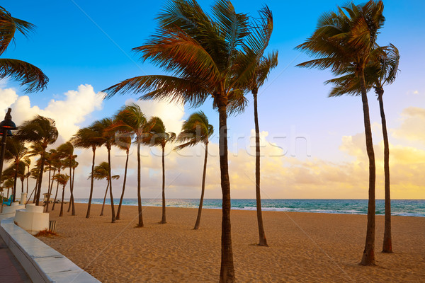 Fort lauderdale spiaggia sunrise Florida mattina USA Foto d'archivio © lunamarina