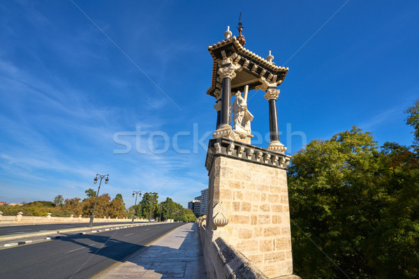 Walencja real królewski most Hiszpania 16 Zdjęcia stock © lunamarina