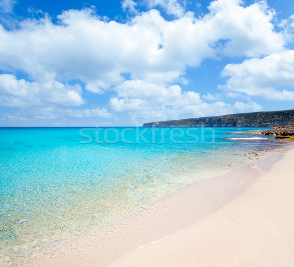 Belearic Formentera Escalo white sand beach Stock photo © lunamarina