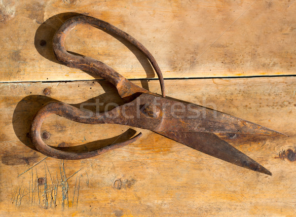 Antique sheep wool shears scissors rusted Stock photo © lunamarina