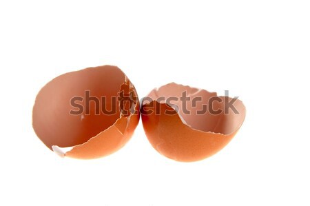 Stock fotó: Repedt · tojás · kagyló · izolált · fehér · stúdió