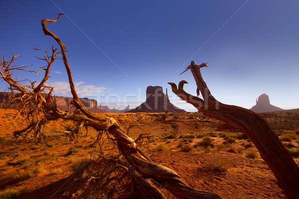 Monument West Mitten Butte in morning Utah Stock photo © lunamarina