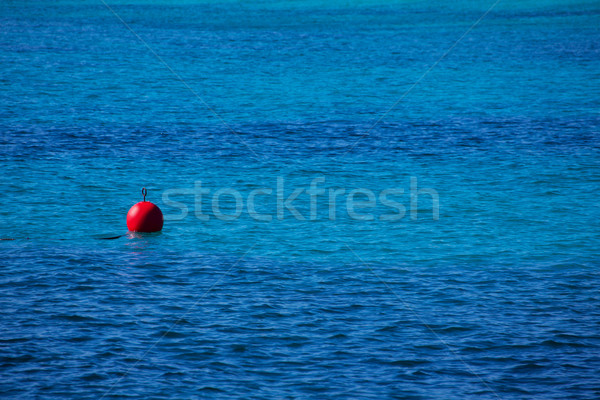 Piros bója lebeg kék tenger nézőpont Stock fotó © lunamarina