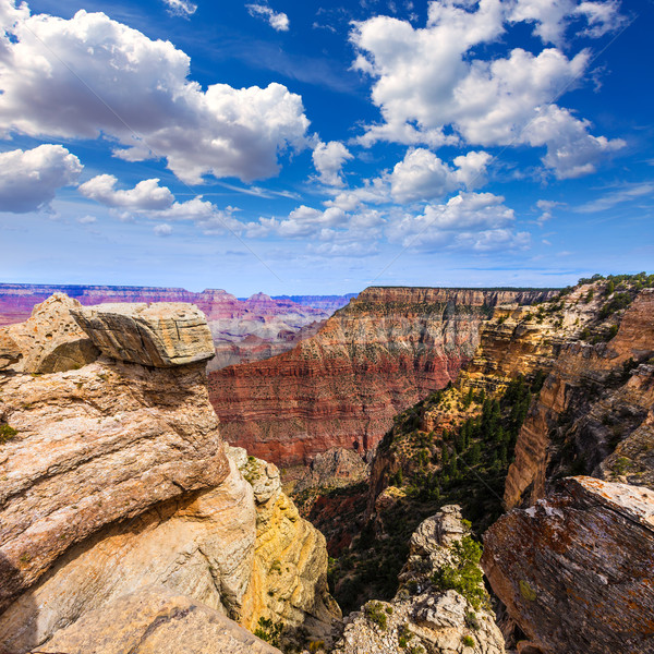 Arizona Grand Canyon park anya pont amfiteátrum Stock fotó © lunamarina