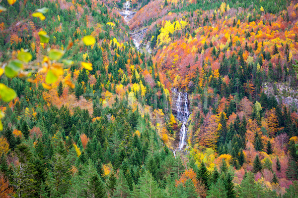 Autumn Bujaruelo Ordesa waterfal in colorful fall forest Huesca Stock photo © lunamarina