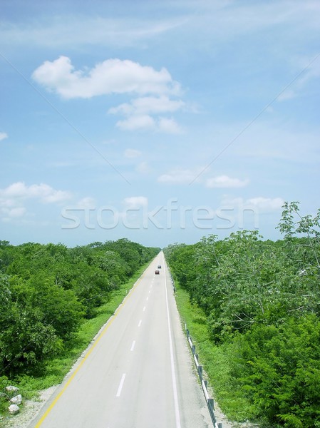 jungle road aerial view central america mexico Stock photo © lunamarina