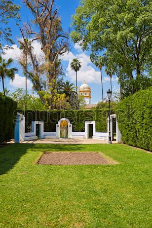 Stock photo: seville maria luisa park gardens spain