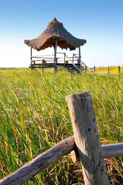 hut palapa in mangrove reed wetlands Stock photo © lunamarina