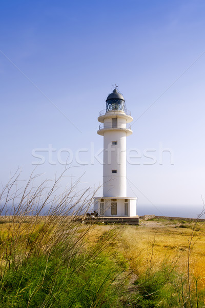 Barbaria Lighthouse Formentera Balearic Island Stock photo © lunamarina