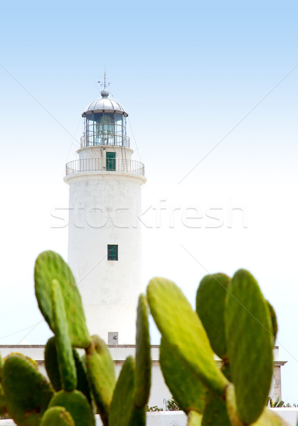 La Mola lighthouse in formentera with nopal cactus Stock photo © lunamarina