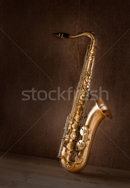 Sax golden tenor saxophone vintage retro Stock photo © lunamarina