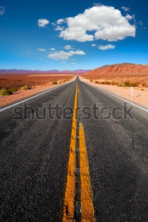 Never ending road to Death Valley California Stock photo © lunamarina