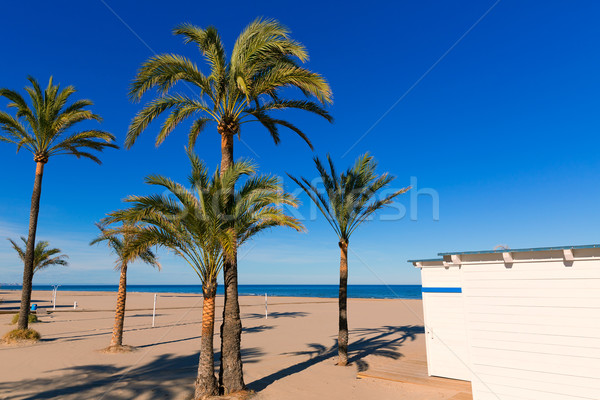 Stok fotoğraf: Plaj · Valencia · akdeniz · İspanya · ağaç · doğa