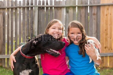 Foto stock: Gêmeo · irmãs · cachorro · animal · de · estimação · cão
