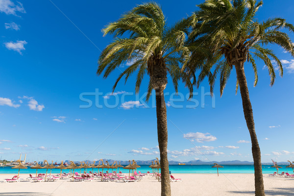 Mallorca Platja de Alcudia beach in Majorca  Stock photo © lunamarina