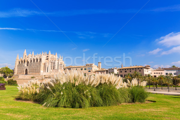 Catedral seo mallorca Espanha primavera Foto stock © lunamarina