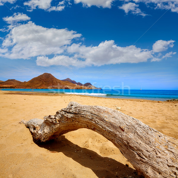 Almeria Playa Genoveses beach Cabo de Gata Stock photo © lunamarina